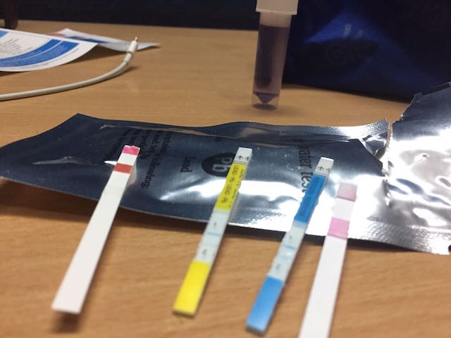 Test strips